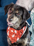 Gifts in the Morning Pet Bandana
